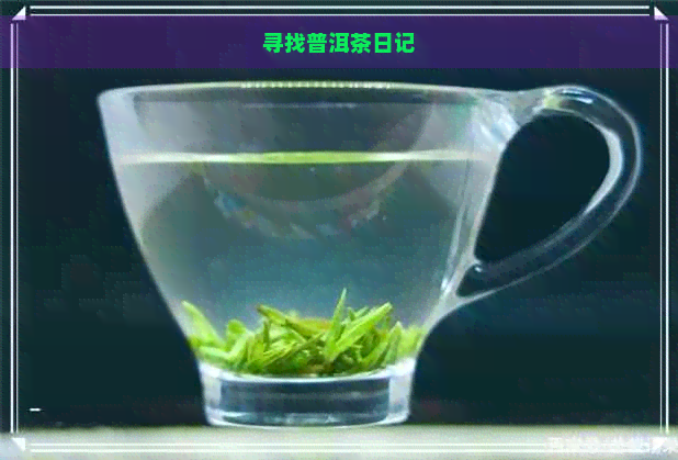 寻找普洱茶日记