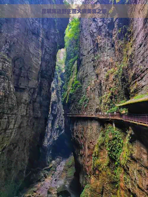 昆明周边野生菌火锅美食之旅