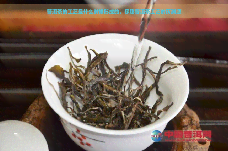 普洱茶的工艺是什么时候形成的，探秘普洱茶工艺的历渊源