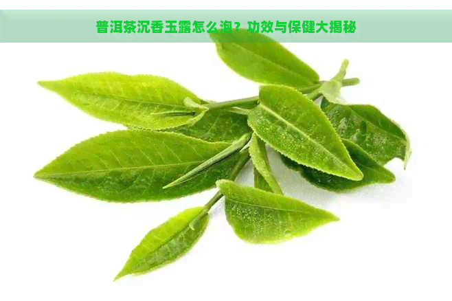 普洱茶沉香玉露怎么泡？功效与保健大揭秘