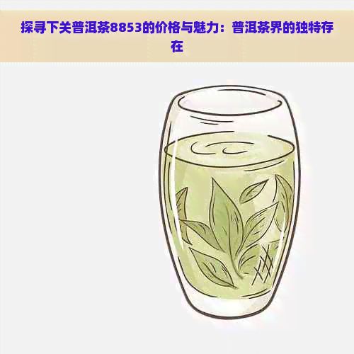 探寻下关普洱茶8853的价格与魅力：普洱茶界的独特存在