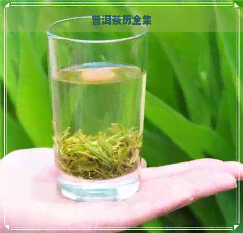 普洱茶历全集