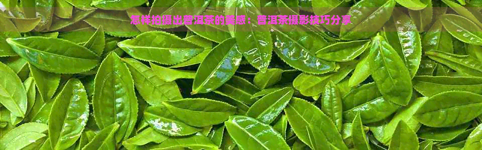 怎样拍摄出普洱茶的美感：普洱茶摄影技巧分享