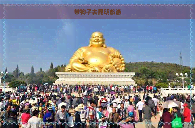 带狗子去昆明旅游