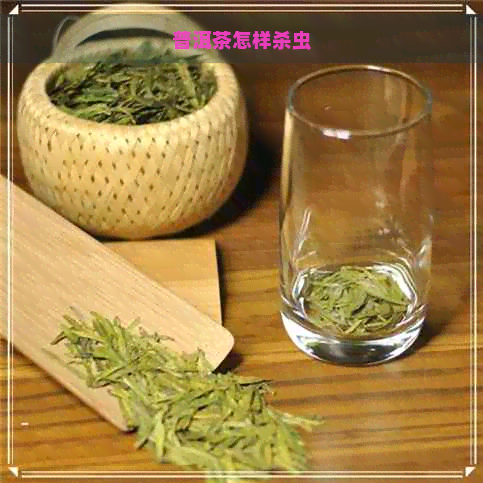 普洱茶怎样杀虫