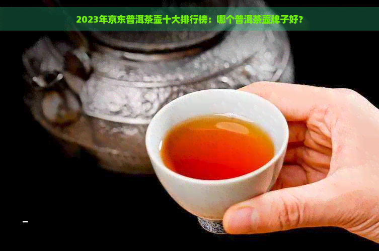 2023年京东普洱茶壶十大排行榜：哪个普洱茶壶牌子好？