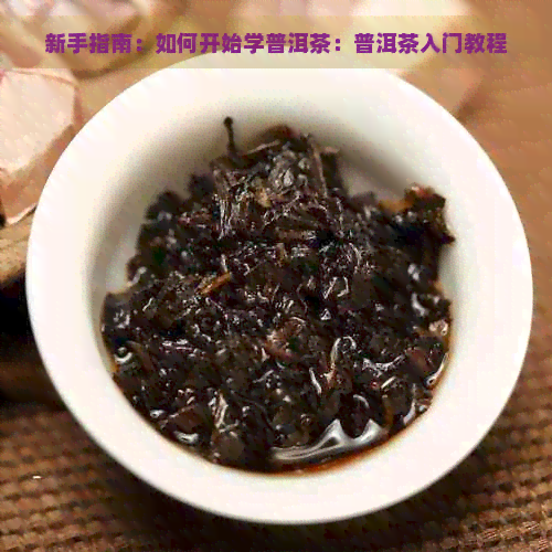 新手指南：如何开始学普洱茶：普洱茶入门教程