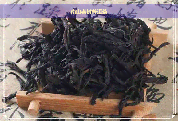 南山老树普洱茶