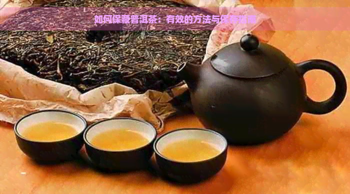 如何保藏普洱茶：有效的方法与保存指南