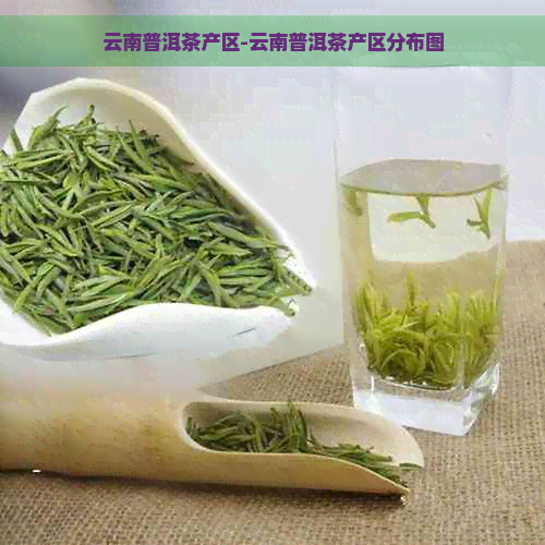 云南普洱茶产区-云南普洱茶产区分布图