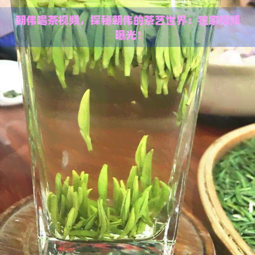 朝伟喝茶视频，探秘朝伟的茶艺世界：独家视频曝光！