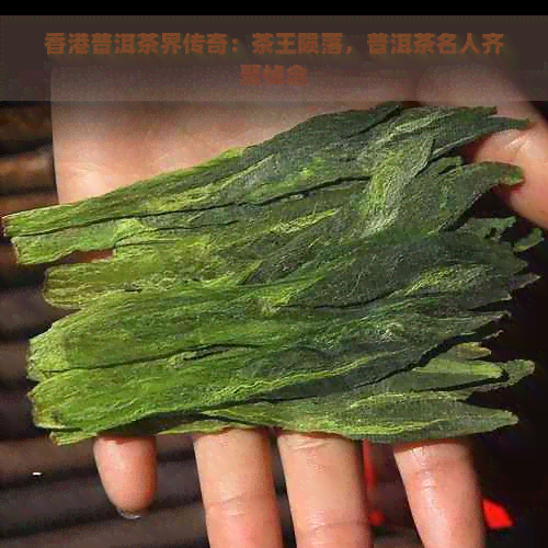 普洱茶界传奇：茶王陨落，普洱茶名人齐聚悼念