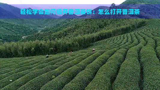 轻松学会如何撬开普洱茶饼：怎么打开普洱茶