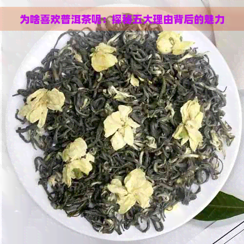 为啥喜欢普洱茶呢：探秘五大理由背后的魅力