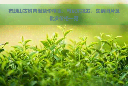 布朗山古树普洱茶价格表，与京东批发，生茶图片及批发价格一览