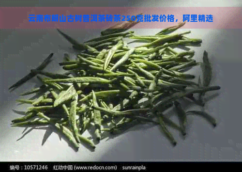 云南布朗山古树普洱茶砖茶250克批发价格，阿里精选