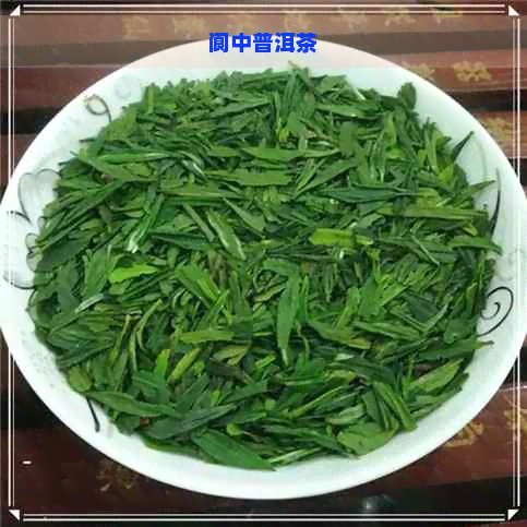 阆中普洱茶