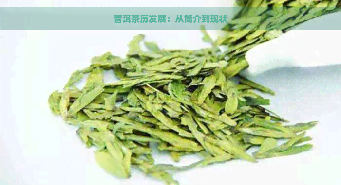 普洱茶历发展：从简介到现状