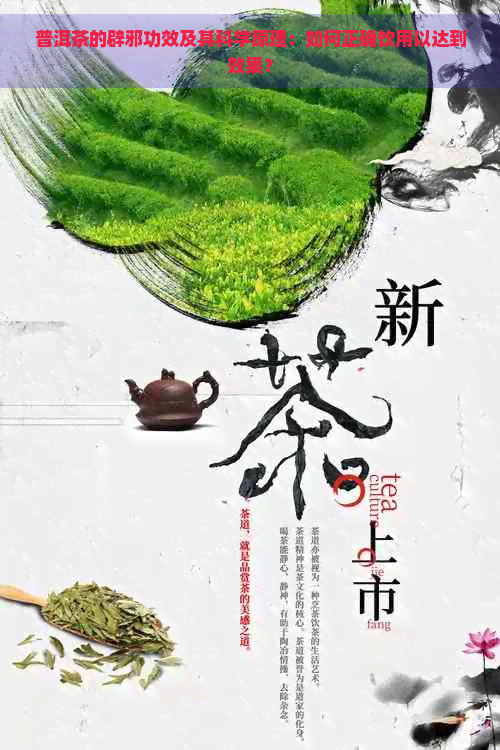 普洱茶的辟邪功效及其科学原理：如何正确饮用以达到效果？