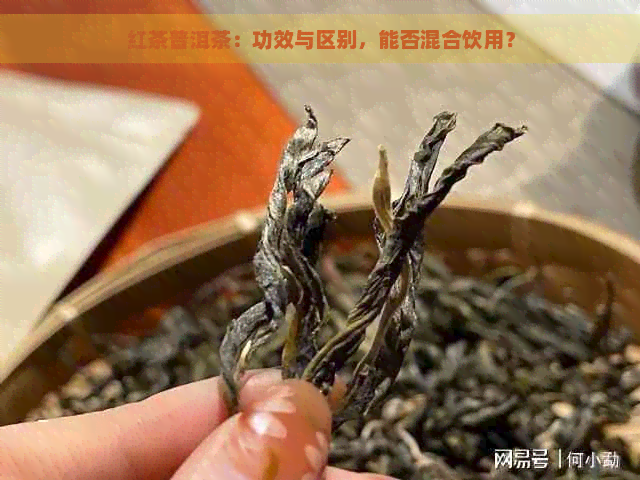 红茶普洱茶：功效与区别，能否混合饮用？