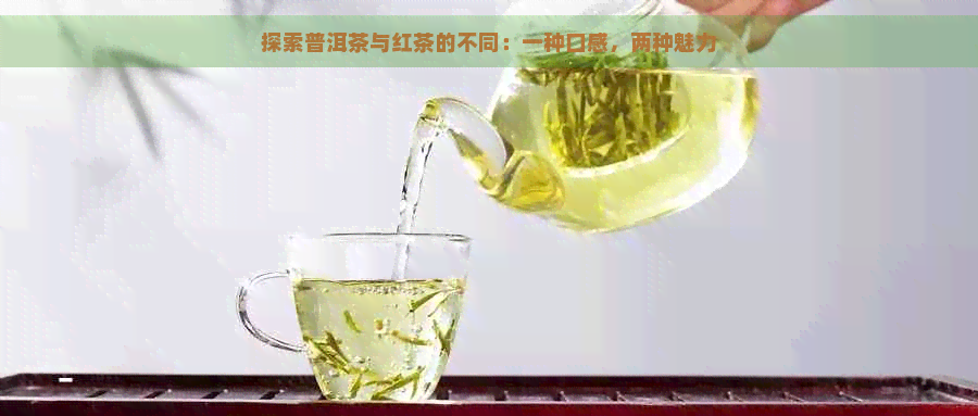 探索普洱茶与红茶的不同：一种口感，两种魅力