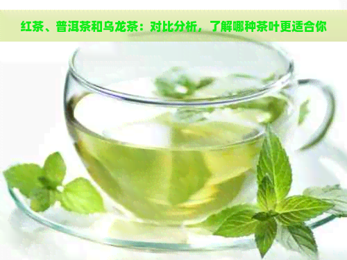 红茶、普洱茶和乌龙茶：对比分析，了解哪种茶叶更适合你