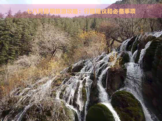 七八月昆明旅游攻略：行程建议和必备事项