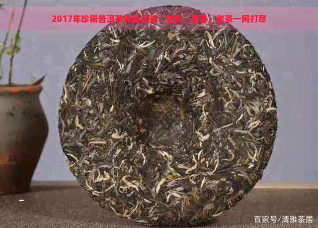 2017年珍稀普洱茶典藏品鉴：生茶、熟茶、老茶一网打尽