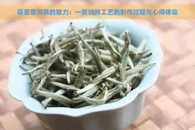 探索普洱茶的魅力：一款独特工艺的制作过程与心得体会