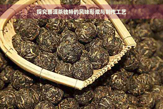 探究普洱茶独特的风味形成与制作工艺