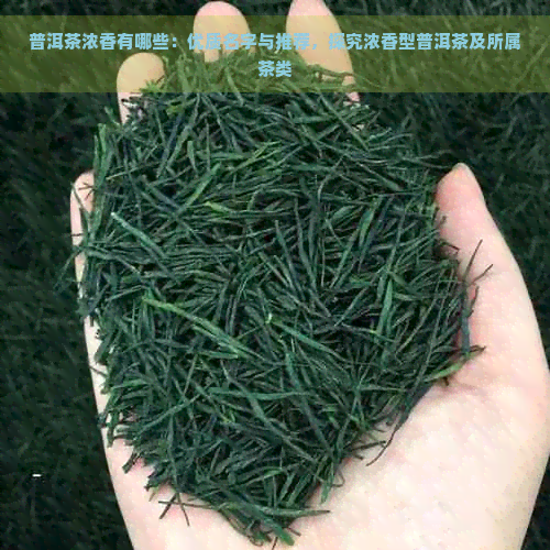 普洱茶浓香有哪些：优质名字与推荐，探究浓香型普洱茶及所属茶类