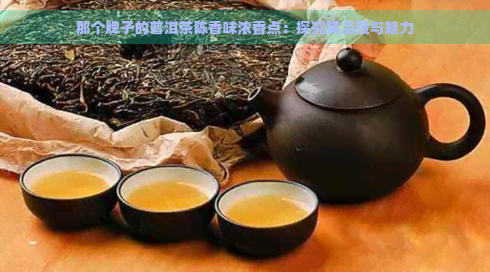 那个牌子的普洱茶陈香味浓香点：探究其品质与魅力