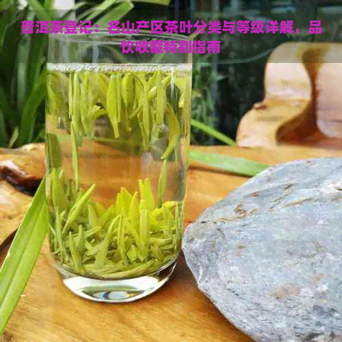 普洱茶登记：名山产区茶叶分类与等级详解，品饮收藏特别指南