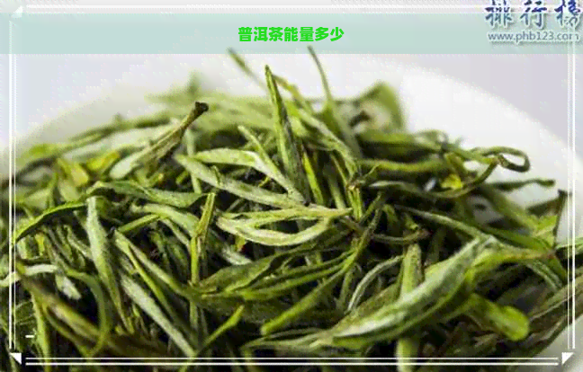 普洱茶能量多少