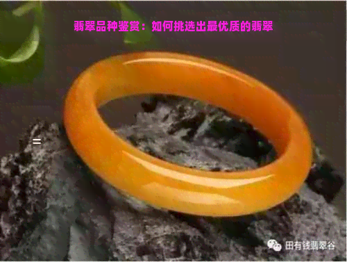 翡翠品种鉴赏：如何挑选出更优质的翡翠