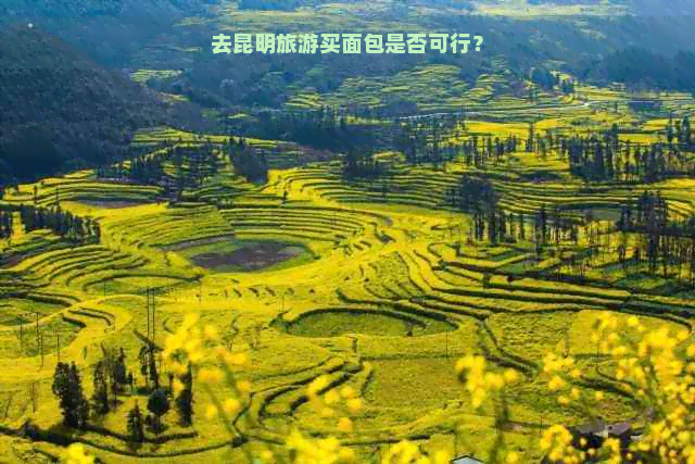 去昆明旅游买面包是否可行？