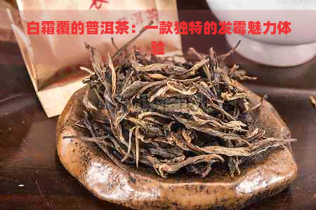 白霜覆的普洱茶：一款独特的发霉魅力体验