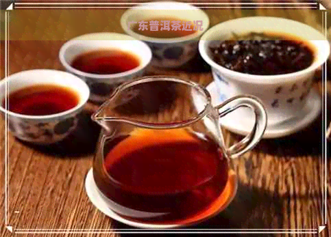 广东普洱茶近况