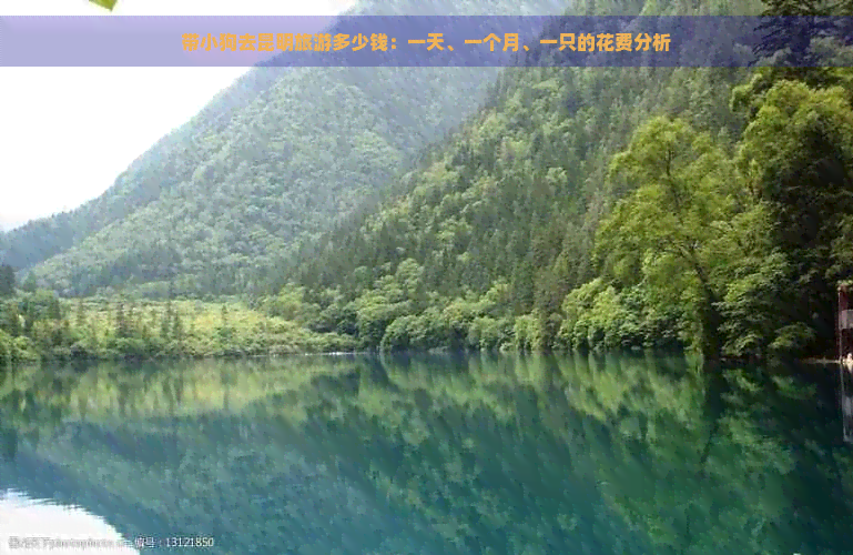 带小狗去昆明旅游多少钱：一天、一个月、一只的花费分析