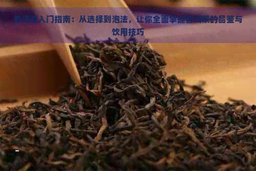 普洱茶入门指南：从选择到泡法，让你全面掌握普洱茶的品鉴与饮用技巧