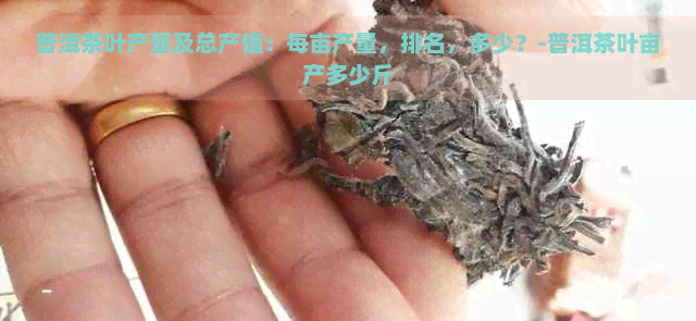 普洱茶叶产量及总产值：每亩产量，排名，多少？-普洱茶叶亩产多少斤