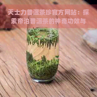 天士力普洱茶珍官方网站：探索帝泊普洱茶的神奇功效与加盟机会