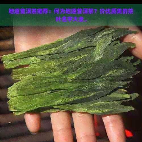 地道普洱茶推荐：何为地道普洱茶？价优质美的茶叶名字大全。