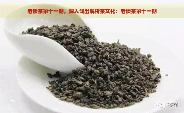 老谈茶第十一期，深入浅出解析茶文化：老谈茶第十一期