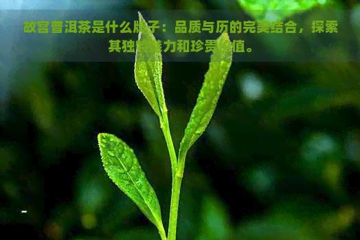 故宫普洱茶是什么牌子：品质与历的完美结合，探索其独特魅力和珍贵价值。