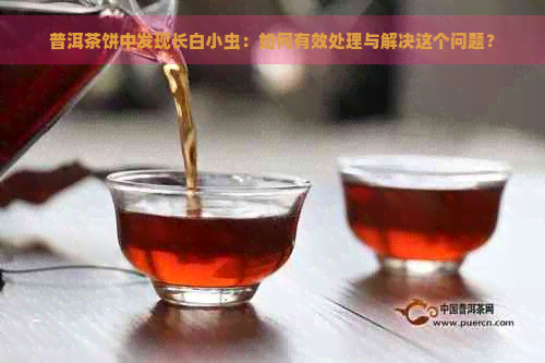 普洱茶饼中发现长白小虫：如何有效处理与解决这个问题？