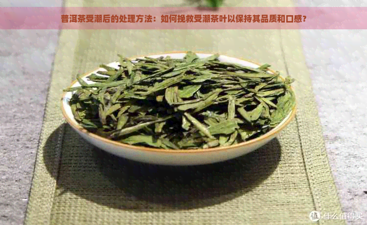 普洱茶受潮后的处理方法：如何挽救受潮茶叶以保持其品质和口感？