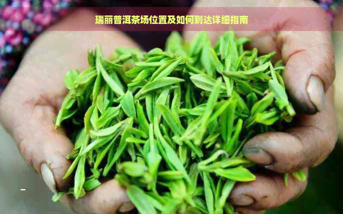 瑞丽普洱茶场位置及如何到达详细指南