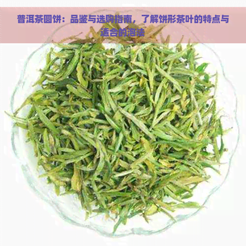 普洱茶圆饼：品鉴与选购指南，了解饼形茶叶的特点与适合的泡法