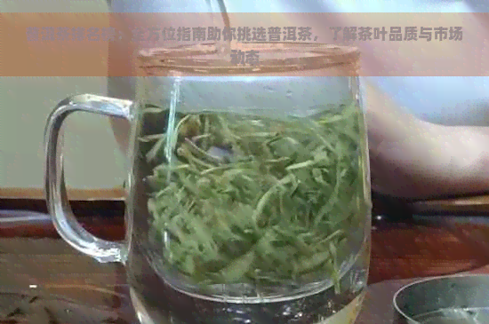 普洱茶排名榜：全方位指南助你挑选普洱茶，了解茶叶品质与市场动态